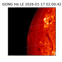 gong - 2026-01-17T02:00:42