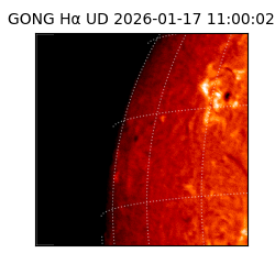gong - 2026-01-17T11:00:02