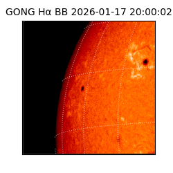 gong - 2026-01-17T20:00:02