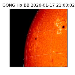 gong - 2026-01-17T21:00:02