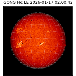 gong - 2026-01-17T02:00:42