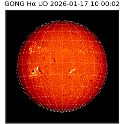 gong - 2026-01-17T10:00:02