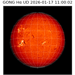 gong - 2026-01-17T11:00:02