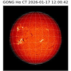gong - 2026-01-17T12:00:42