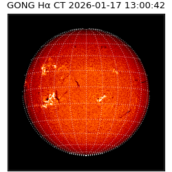 gong - 2026-01-17T13:00:42