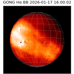 gong - 2026-01-17T16:00:02