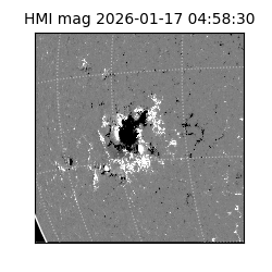 shmi - 2026-01-17T04:58:30