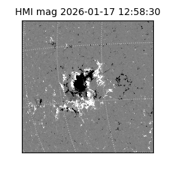 shmi - 2026-01-17T12:58:30