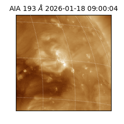 saia - 2026-01-18T09:00:04.843000