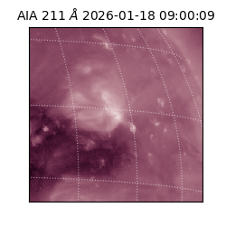 saia - 2026-01-18T09:00:09.623000