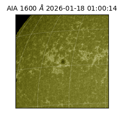 saia - 2026-01-18T01:00:14.125000