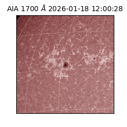 saia - 2026-01-18T12:00:28.718000
