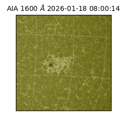 saia - 2026-01-18T08:00:14.125000