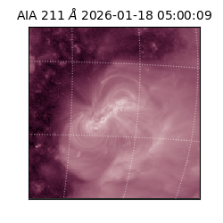 saia - 2026-01-18T05:00:09.631000