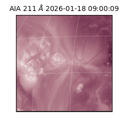 saia - 2026-01-18T09:00:09.623000