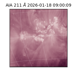saia - 2026-01-18T09:00:09.623000