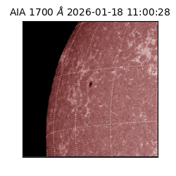 saia - 2026-01-18T11:00:28.718000