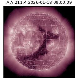 saia - 2026-01-18T09:00:09.623000