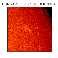 gong - 2026-01-18T01:00:42