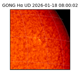 gong - 2026-01-18T08:00:02