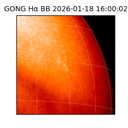 gong - 2026-01-18T16:00:02
