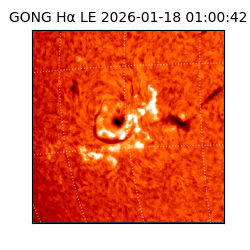 gong - 2026-01-18T01:00:42