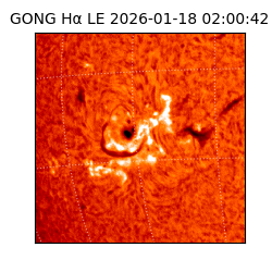 gong - 2026-01-18T02:00:42