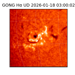 gong - 2026-01-18T03:00:02