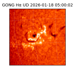 gong - 2026-01-18T05:00:02