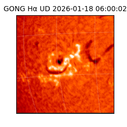 gong - 2026-01-18T06:00:02