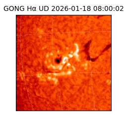 gong - 2026-01-18T08:00:02