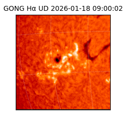 gong - 2026-01-18T09:00:02