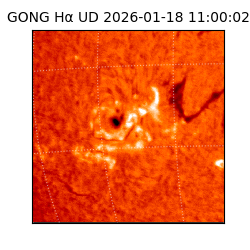 gong - 2026-01-18T11:00:02