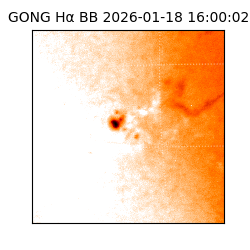 gong - 2026-01-18T16:00:02