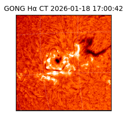 gong - 2026-01-18T17:00:42