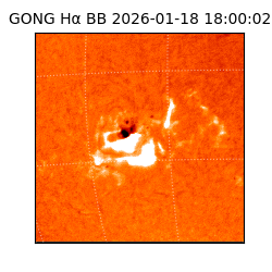 gong - 2026-01-18T18:00:02