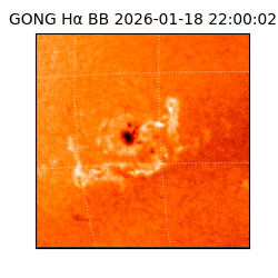 gong - 2026-01-18T22:00:02