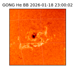 gong - 2026-01-18T23:00:02