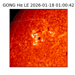 gong - 2026-01-18T01:00:42