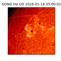gong - 2026-01-18T05:00:02