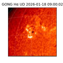 gong - 2026-01-18T09:00:02