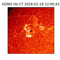 gong - 2026-01-18T12:00:42