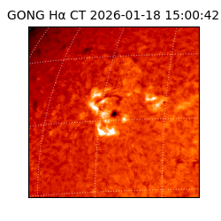 gong - 2026-01-18T15:00:42