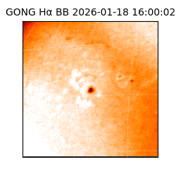 gong - 2026-01-18T16:00:02