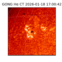 gong - 2026-01-18T17:00:42