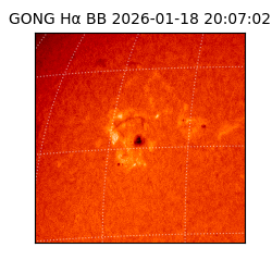 gong - 2026-01-18T20:07:02