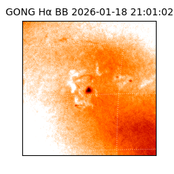 gong - 2026-01-18T21:01:02