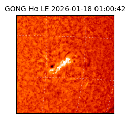 gong - 2026-01-18T01:00:42