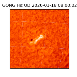 gong - 2026-01-18T08:00:02