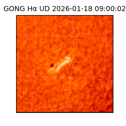 gong - 2026-01-18T09:00:02